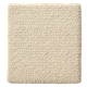 Rugs & Accessories