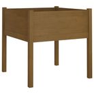 vidaXL Garden Planter Honey Brown 27.6"x27.6"x27.6" Solid Wood Pine