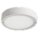 Stropní svítidla