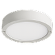 Ceiling Lights