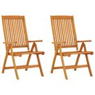 vidaXL Folding Garden Chairs 2 pcs Solid Wood Eucalyptus