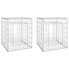 vidaXL Gabion Basket Posts 2 pcs 50x50x60 cm Iron