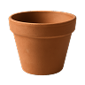 Gardening & Plant Care