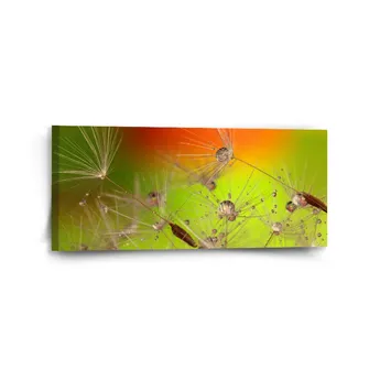 Sablio Obraz Odkvetlé pampelišky - 110x50 cm