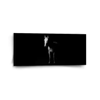 Sablio Obraz Kůň ve stínu - 110x50 cm