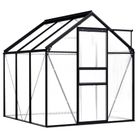 vidaXL Greenhouse Anthracite Aluminum 38.9 ftÂ²