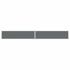 vidaXL Retractable Side Awning Anthracite 160x1200 cm