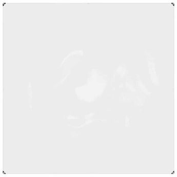vidaXL Clear Tarpaulin with Eyelets 2x2 m PVC