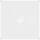 vidaXL Clear Tarpaulin with Eyelets 2x2 m PVC