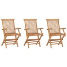 vidaXL Folding Patio Chairs 3 pcs Solid Teak Wood
