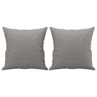 vidaXL Throw Pillows 2 pcs Light Grey 40x40 cm Fabric