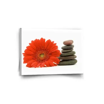 Sablio Obraz Gerbera s kameny - 90x60 cm