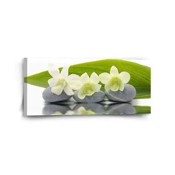 Sablio Obraz Bílá orchidej - 110x50 cm