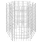 vidaXL Hexagonal Gabion Raised Bed 100x90x100 cm