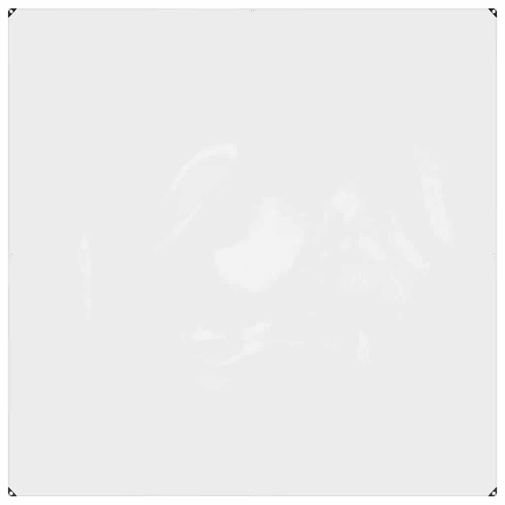 vidaXL Clear Tarpaulin with Eyelets 2x2 m PVC